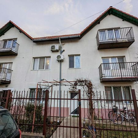 1 Freidorf Apartment 蒂米什瓦拉 外观 照片