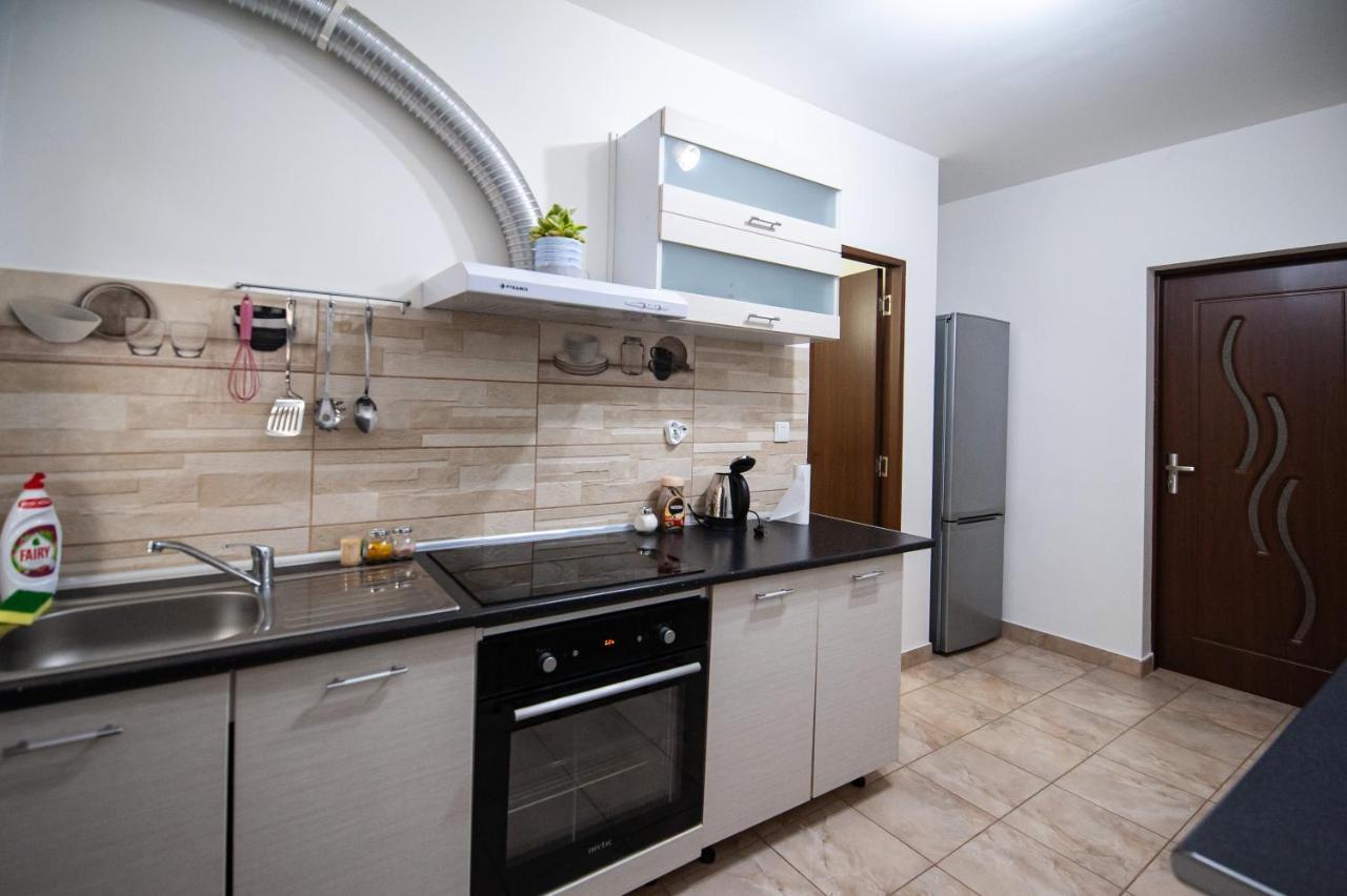 1 Freidorf Apartment 蒂米什瓦拉 外观 照片