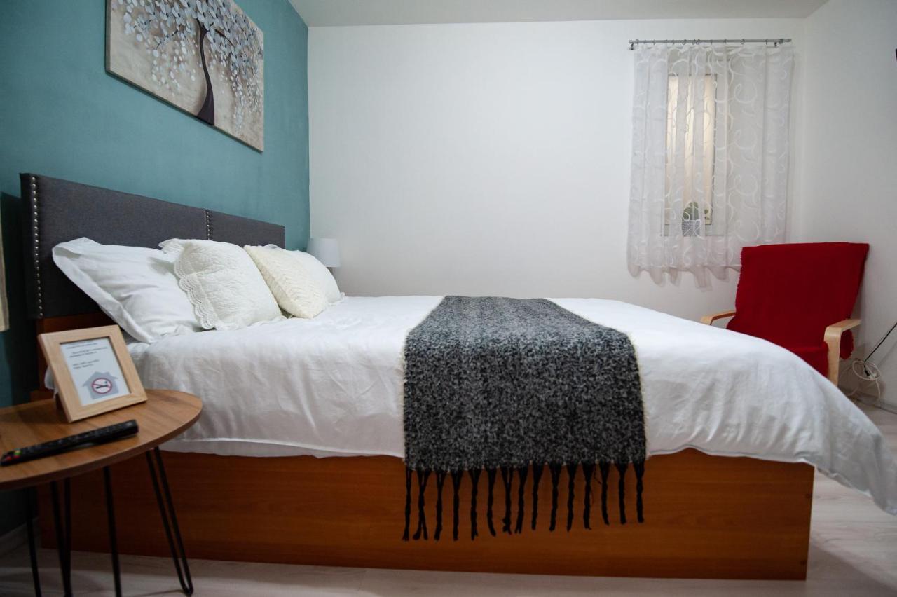 1 Freidorf Apartment 蒂米什瓦拉 外观 照片