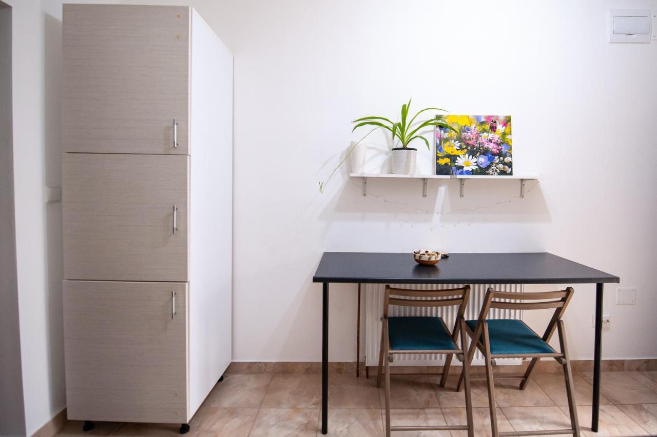 1 Freidorf Apartment 蒂米什瓦拉 外观 照片
