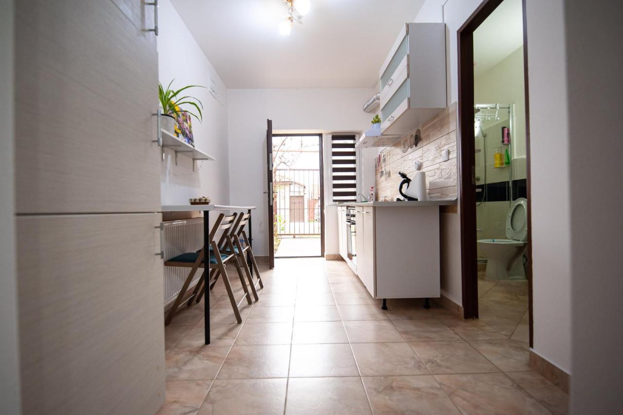 1 Freidorf Apartment 蒂米什瓦拉 外观 照片